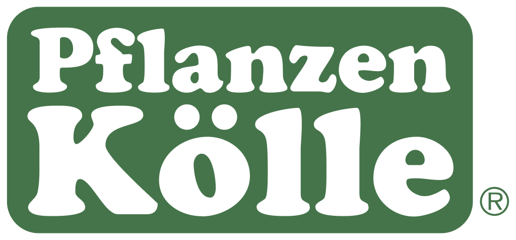 PFLANZEN-KÖLLE prospekte